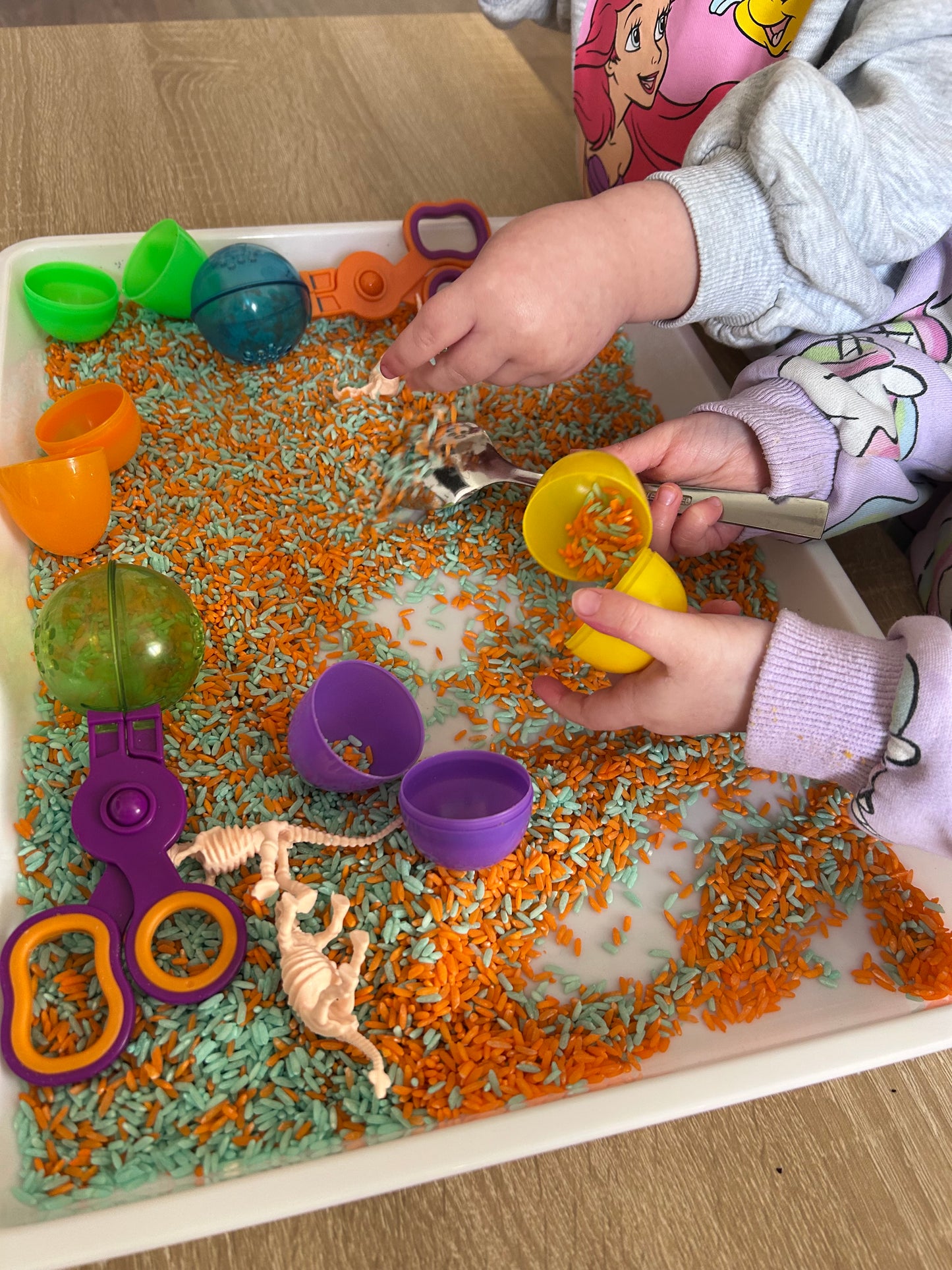 🦕🦖DiscoverSophies Dinosaur Themed Sensory Rice 🦖🦕