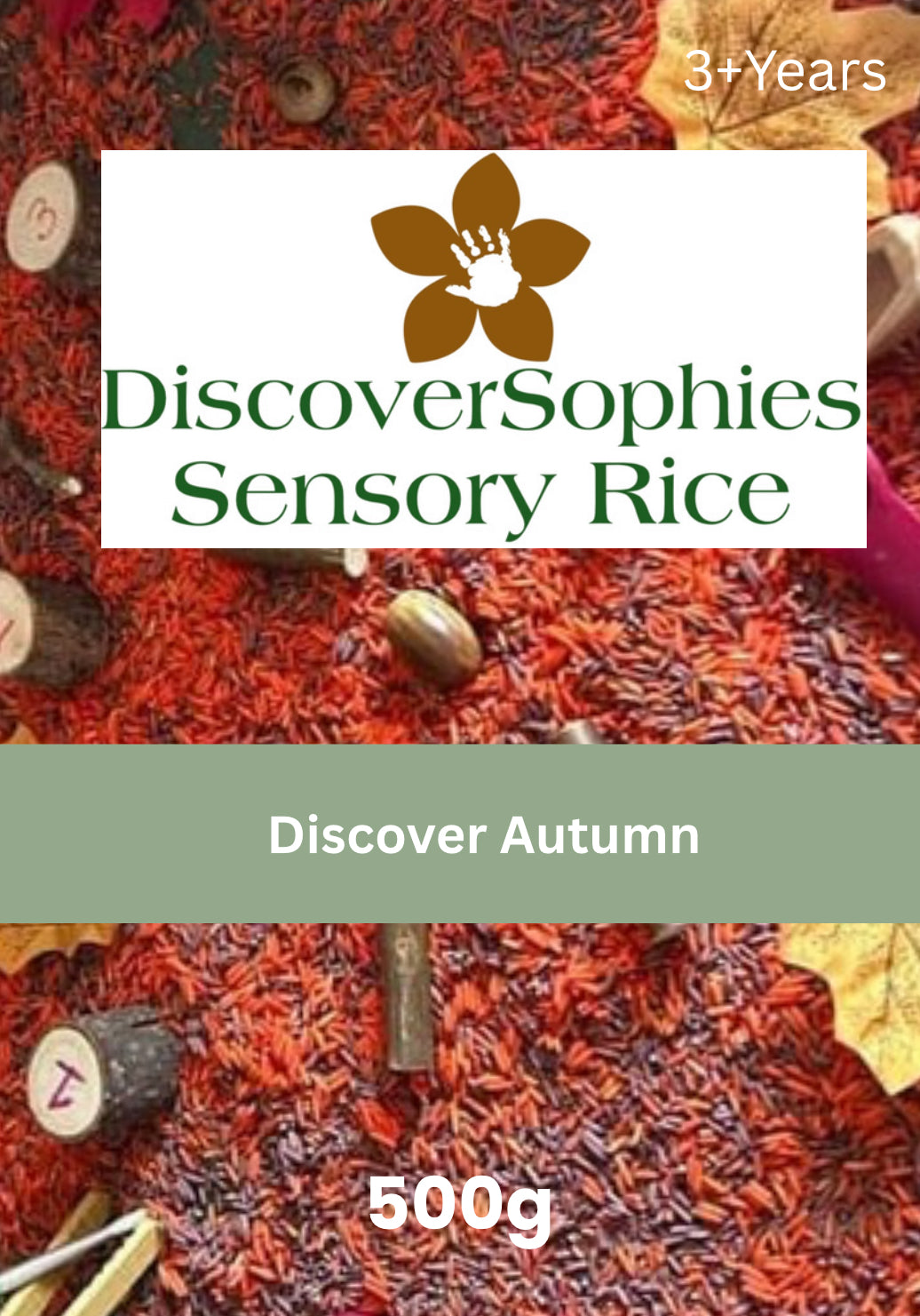 🍂🍁DiscoverSophies Autumn Sensory Play Rice 🍁🍂