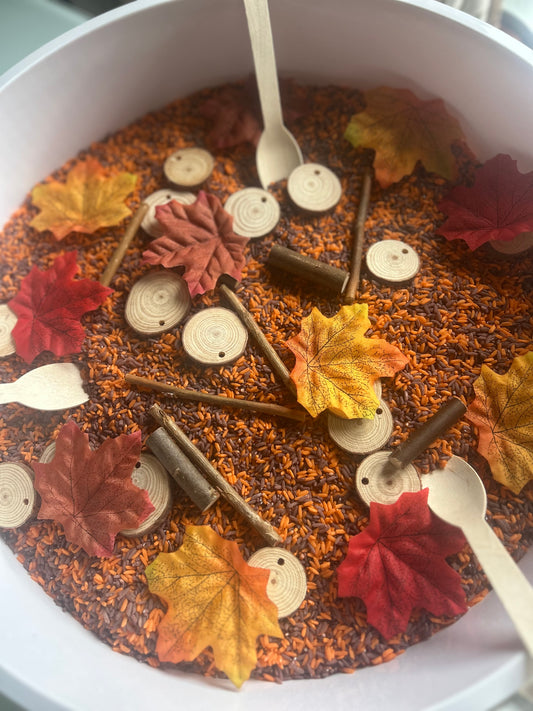 🍂🍁DiscoverSophies Autumn Sensory Play Rice 🍁🍂